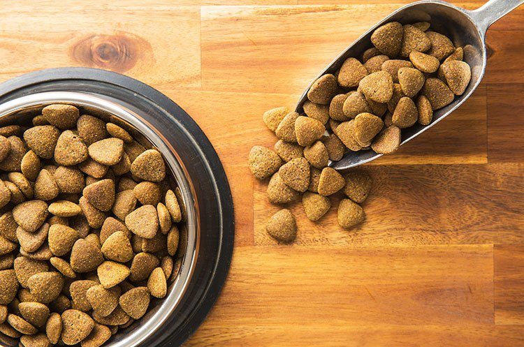 Healthy and Nutritious For Dog Treats