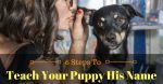 Teach Your Puppy His Name