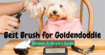 Best Brush for GoldenDoodle